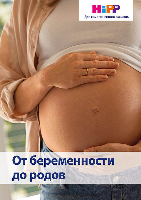 Обложка руководства в формате PDF «От беременности до родов», доступного для скачивания