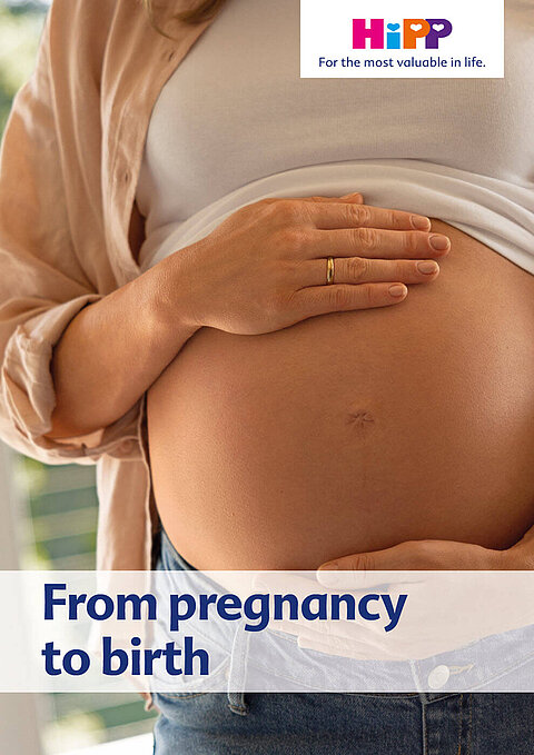 Hipp Program Pa Brochure.pdf Brochures in English | HiPP