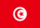 The flag of Tunisia