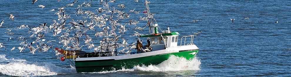 A fishing boat on the water, surrounded by birds, with a logo indicating sustainable fishing.