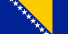 The flag of Bosnia and Herzegovina